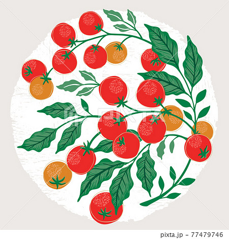 赤い 野菜 果物 フルーツのイラスト素材
