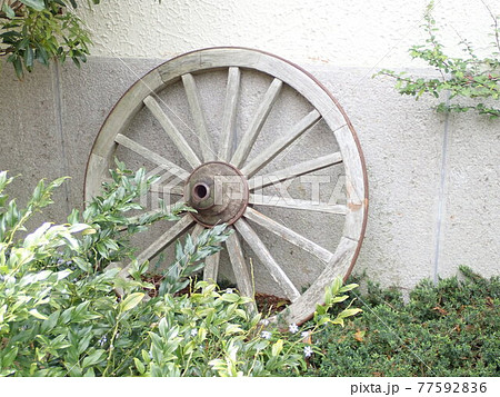 花 ガーデニング 車輪 庭の写真素材