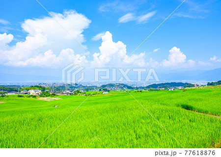 田舎の夏 田舎の風景 入道雲 ノスタルジックの写真素材