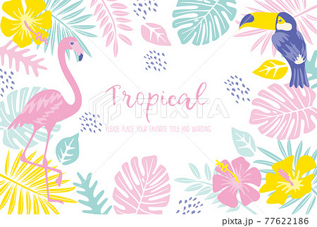 フラミンゴのイラスト素材集 ピクスタ