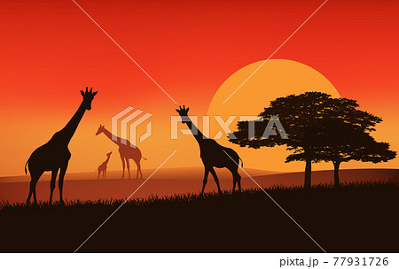 サンセットのイラスト素材