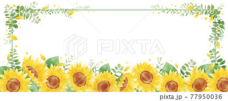 ヒマワリ 葉のイラスト素材