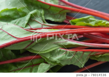 スイスチャード フダンソウ アカザ科 野菜の写真素材