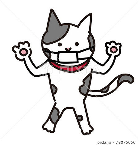 白黒猫のイラスト素材