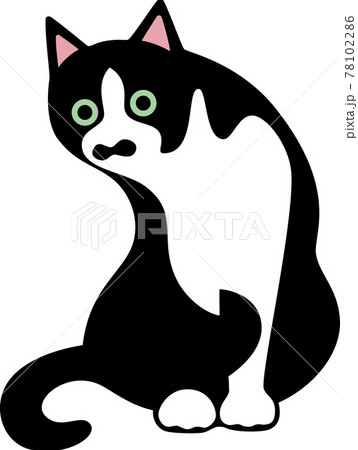 猫ひょっこりのイラスト素材