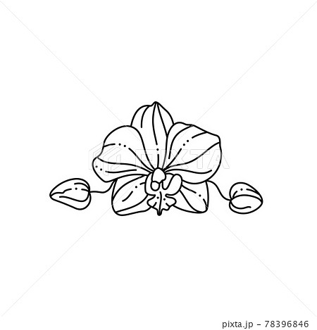 フローラル モノクロ 白黒 花束のイラスト素材