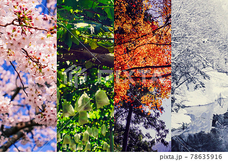 春夏秋冬の写真素材 - PIXTA