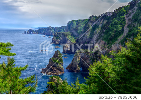 油絵F10三陸海岸風景 61ePP+lHDHL._UF350,350_QL50_.jpg