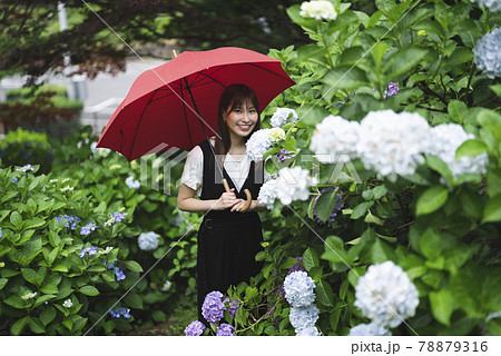 雨 傘 梅雨 美しいの写真素材