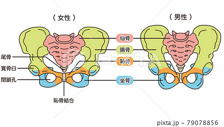 歪みのイラスト素材