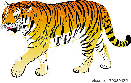 強い動物のイラスト素材