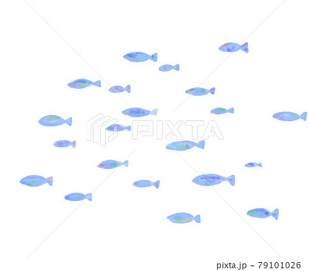魚群 イラスト 群れのイラスト素材 魚群 イラスト 群れのイラスト素材