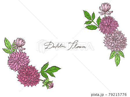 手描きのおしゃれなダリアの花と葉っぱの線画 フレームのイラスト素材 手描きのおしゃれなダリアの花と葉っぱの線画 フレームのイラスト素材