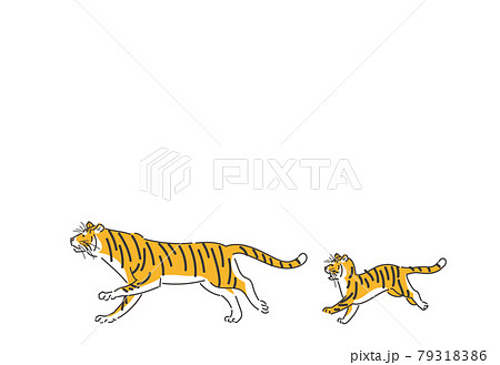 タイガー トラ 虎 走るのイラスト素材