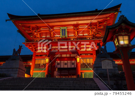 伏見稲荷 神社 夜景 夜の写真素材