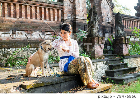 バリ犬の写真素材