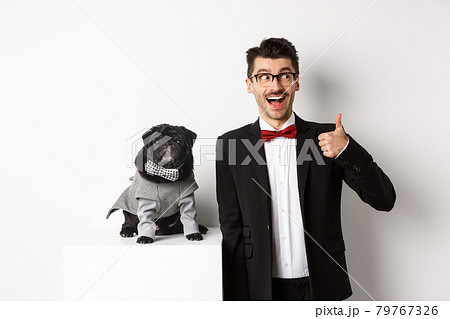 犬 いぬ スーツ かわいい 動物の写真素材