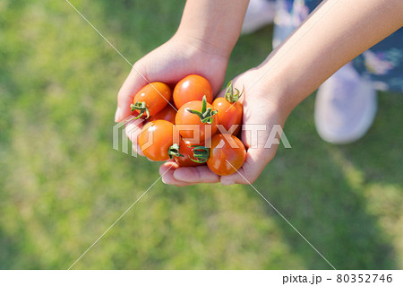 プチトマト少女ヌード写真集 