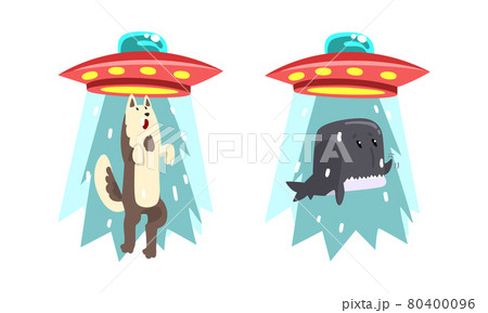 空飛ぶくじら アクリル画 原画 イラスト Krillcom Com Ar