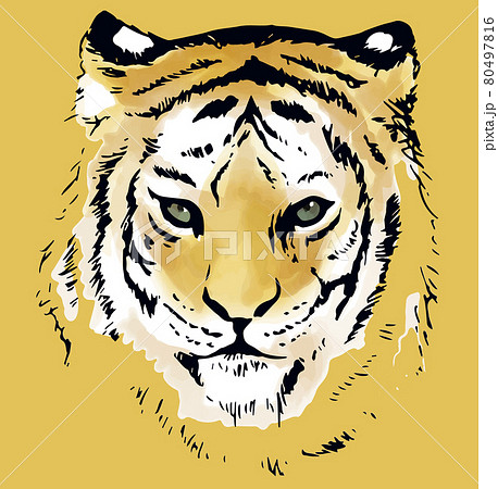 虎の顔のイラスト素材