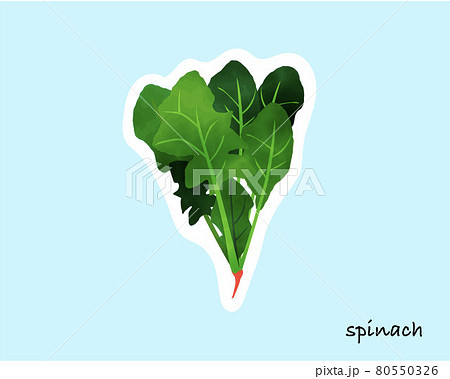ほうれん草畑のイラスト素材