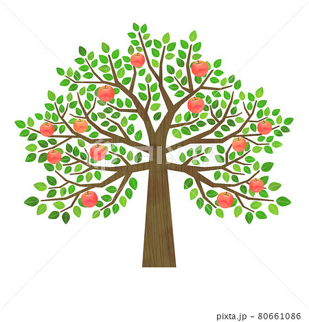 林檎の木のイラスト素材