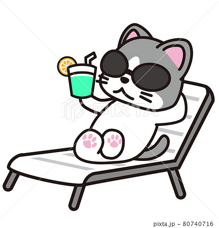 猫 イラスト 海 夏の写真素材