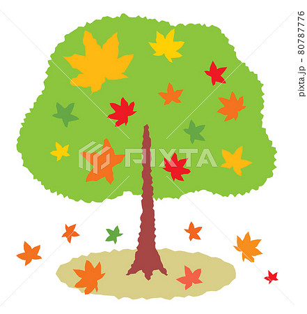 秋 木 樹木 紅葉のイラスト素材