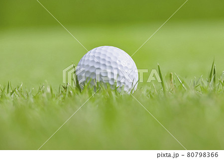 ゴルフ場 芝生の写真素材
