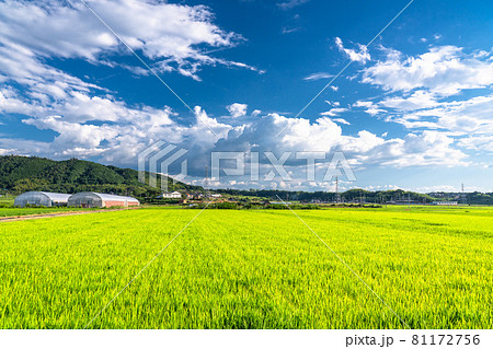 田園風景の写真素材