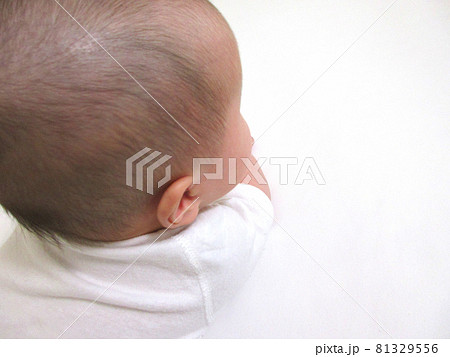 後姿 後頭部 新生児 頭の写真素材