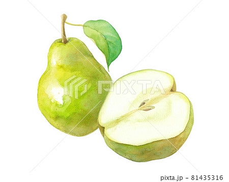 梨のイラスト素材集 ピクスタ