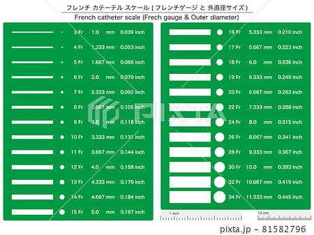 膀胱留置カテーテルのイラスト素材