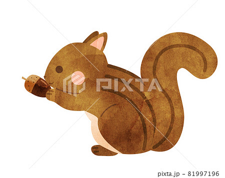 リス シマリス のイラスト素材集 ピクスタ