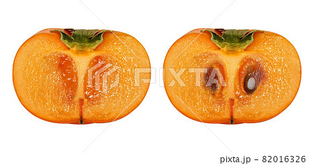 柿の種 果物 断面の写真素材