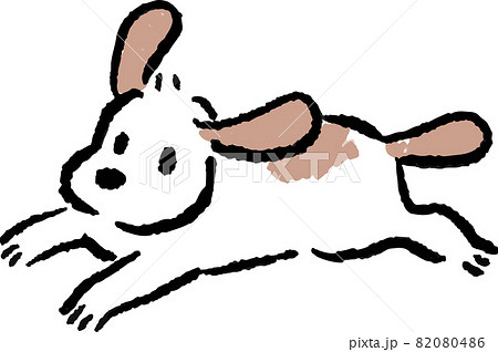 イラスト 動物 犬 走るの写真素材
