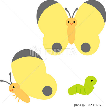 チョウ 蝶 昆虫 成長のイラスト素材