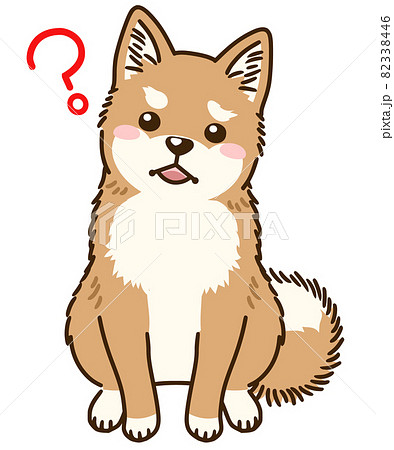 柴犬のイラスト素材集 ピクスタ