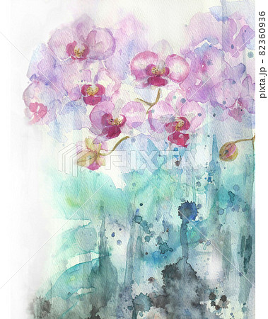 43572523-花胡蝶蘭の抽象的な