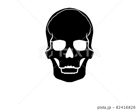 頭蓋骨のイラスト素材