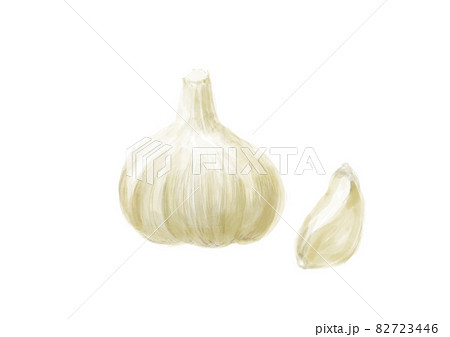 にんにくのイラスト素材集 ピクスタ