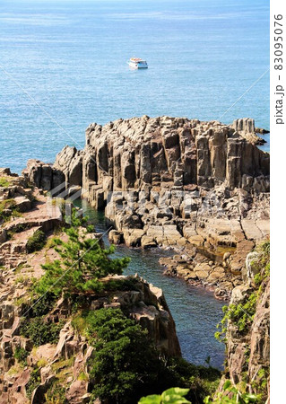 松の木 松 崖 海の写真素材