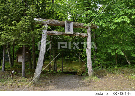 来運神社の写真素材