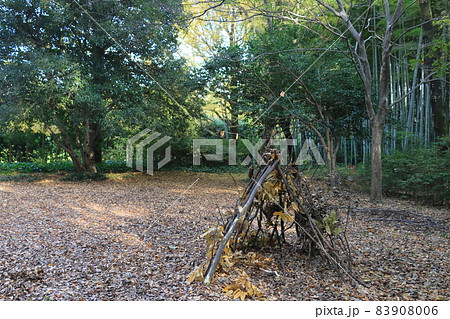 秘密基地の写真素材
