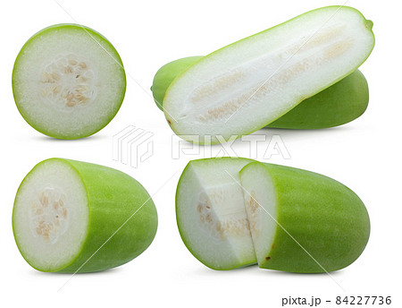 冬瓜 葉 すいか カボチャの写真素材