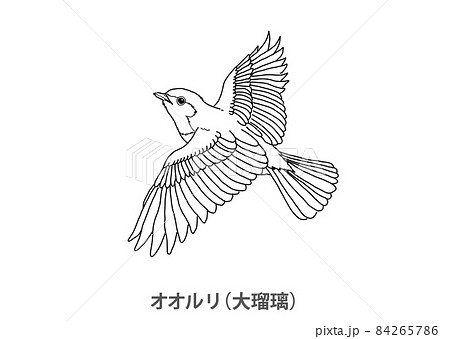 鳥 モノクロのイラスト素材