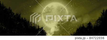 風景 夜空 木 流れ星のイラスト素材