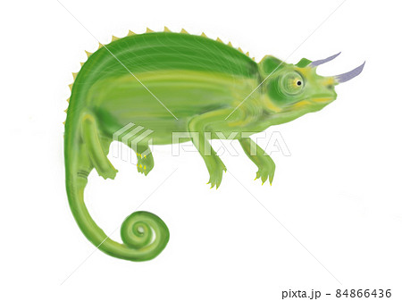 カメレオンのイラスト素材集 ピクスタ