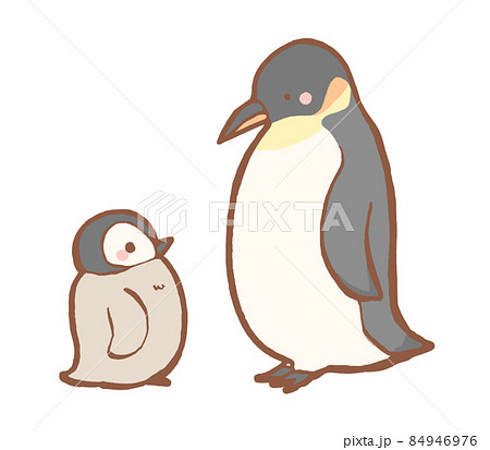 皇帝ペンギン ペンギン 赤ちゃん ヒナのイラスト素材 - PIXTA