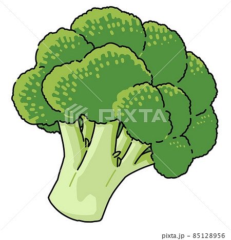 ブロッコリーのイラスト素材集 ピクスタ